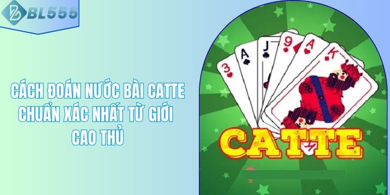 Cách Đoán Nước Bài Catte Chuẩn Xác Nhất Từ Giới Cao Thủ