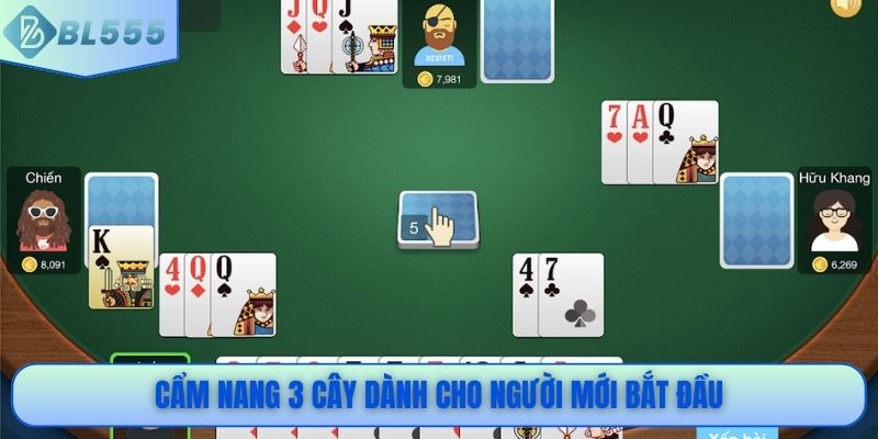 Cẩm nang 3 cây dành cho người mới bắt đầu