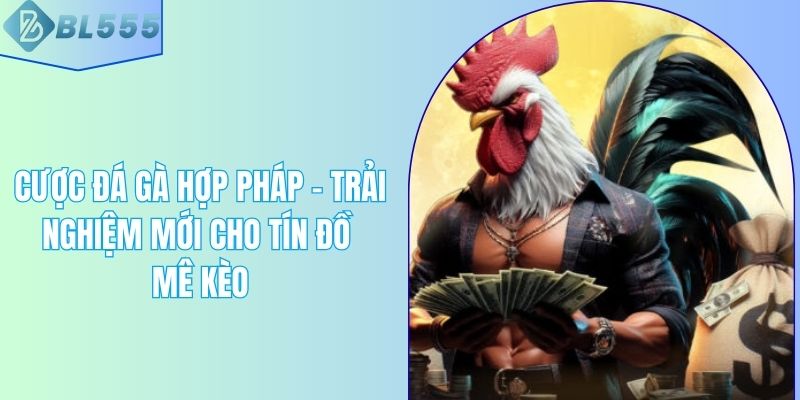 Cược Đá Gà Hợp Pháp – Trải Nghiệm Mới Cho Tín Đồ Mê Kèo