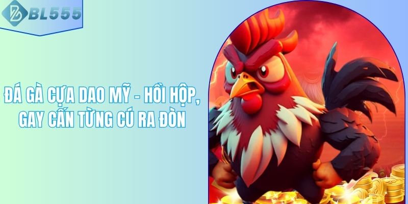 Đá Gà Cựa Dao Mỹ – Hồi Hộp, Gay Cấn Từng Cú Ra Đòn