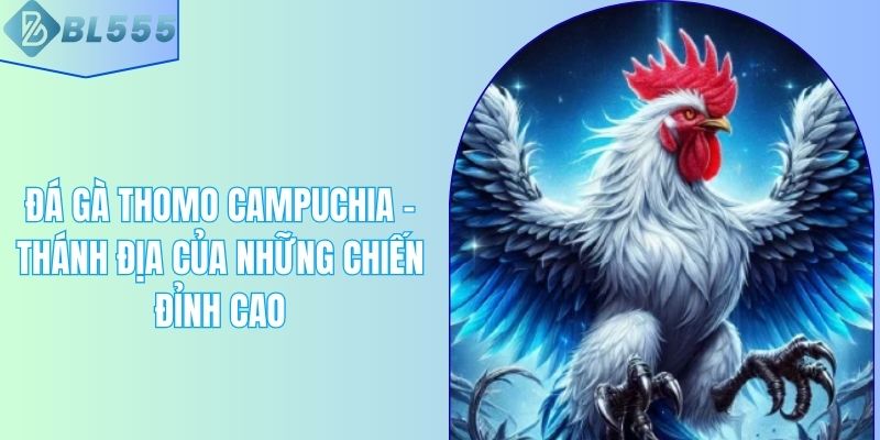 Đá Gà Thomo Campuchia – Thánh Địa Của Những Chiến Đỉnh Cao
