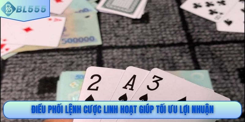 Điều phối lệnh cược linh hoạt giúp tối ưu lợi nhuận