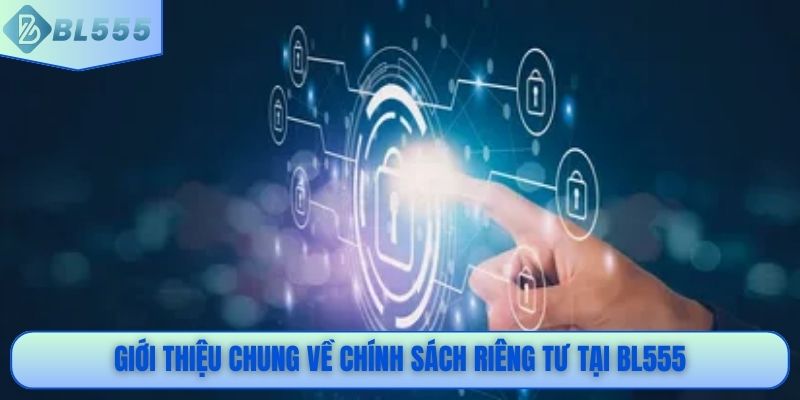 Giới thiệu chung về chính sách riêng tư tại BL555