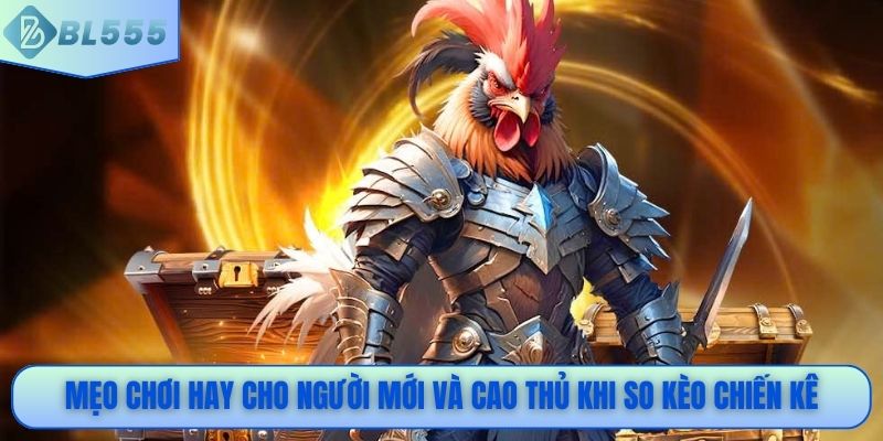 Mẹo chơi hay cho người mới và cao thủ khi so kèo chiến kê