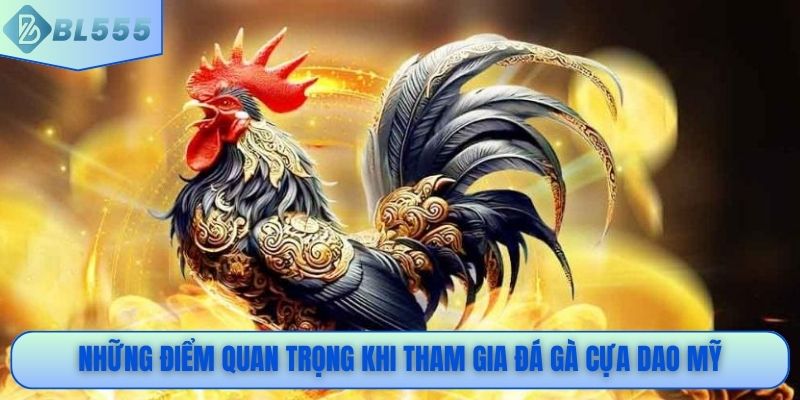 Những điểm quan trọng khi tham gia đá gà cựa dao Mỹ